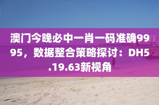 澳门今晚必中一肖一码准确9995，数据整合策略探讨：DH5.19.63新视角