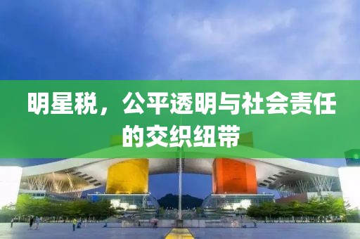明星税，公平透明与社会责任的交织纽带