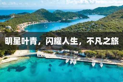 明星叶青，闪耀人生，不凡之旅