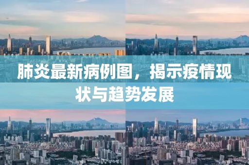 肺炎最新病例图，揭示疫情现状与趋势发展