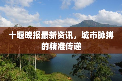 十堰晚报最新资讯，城市脉搏的精准传递