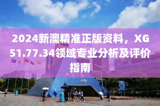 2024新澳精准正版资料，XG51.77.34领域专业分析及评价指南