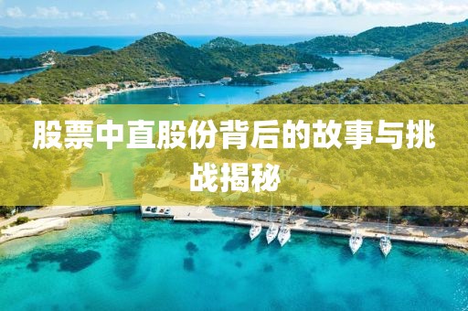 股票中直股份背后的故事与挑战揭秘
