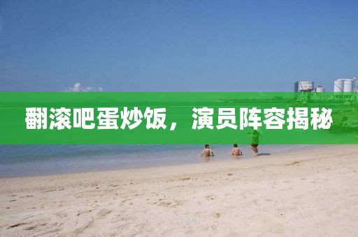 翻滚吧蛋炒饭，演员阵容揭秘