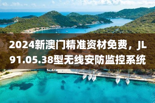 2024新澳门精准资材免费，JL91.05.38型无线安防监控系统