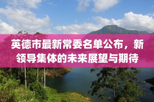 英德市最新常委名单公布，新领导集体的未来展望与期待