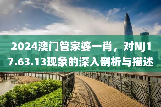 2024澳门管家婆一肖，对NJ17.63.13现象的深入剖析与描述