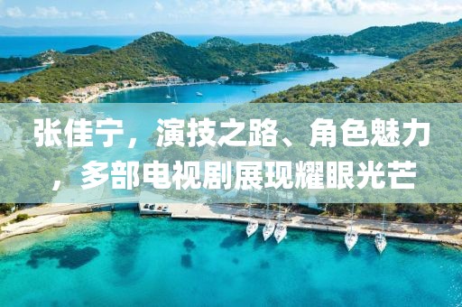 张佳宁，演技之路、角色魅力，多部电视剧展现耀眼光芒