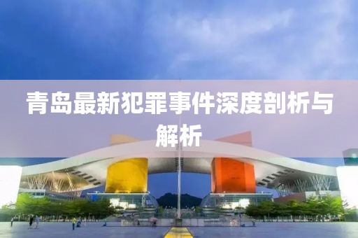 青岛最新犯罪事件深度剖析与解析