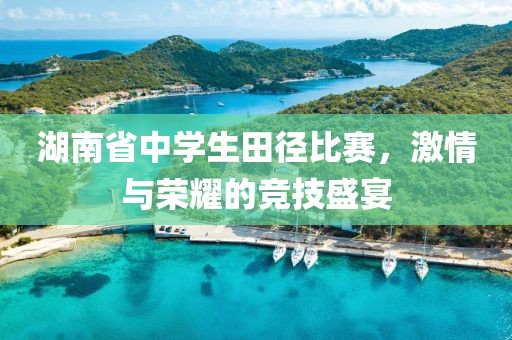 湖南省中学生田径比赛，激情与荣耀的竞技盛宴
