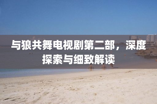 与狼共舞电视剧第二部，深度探索与细致解读