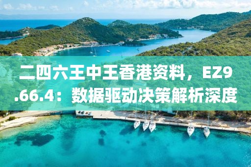 二四六王中王香港资料，EZ9.66.4：数据驱动决策解析深度