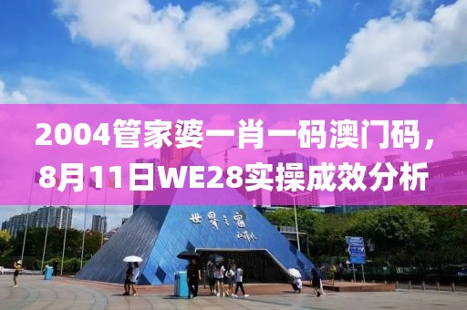 2004管家婆一肖一码澳门码，8月11日WE28实操成效分析