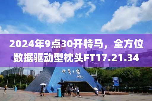 2024年9点30开特马，全方位数据驱动型枕头FT17.21.34