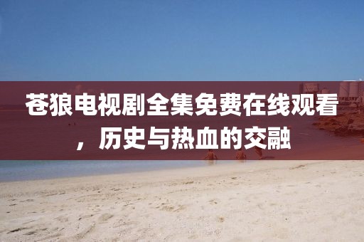 苍狼电视剧全集免费在线观看，历史与热血的交融