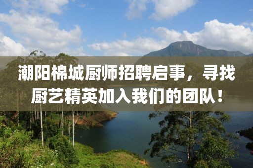 2025年6月11日 第4页