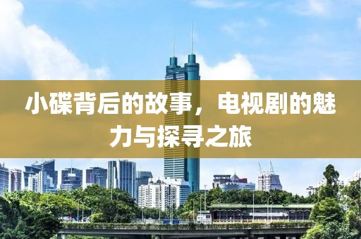 小碟背后的故事，电视剧的魅力与探寻之旅