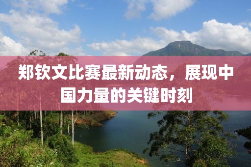 郑钦文比赛最新动态，展现中国力量的关键时刻