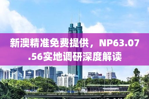 新澳精准免费提供，NP63.07.56实地调研深度解读