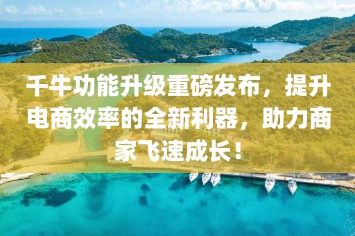 千牛功能升级重磅发布，提升电商效率的全新利器，助力商家飞速成长！