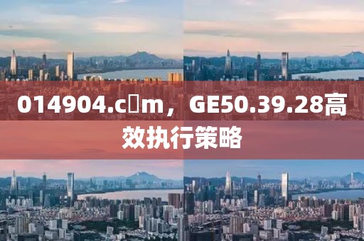 014904.c蟽m，GE50.39.28高效执行策略