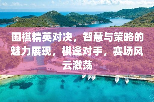 围棋精英对决，智慧与策略的魅力展现，棋逢对手，赛场风云激荡