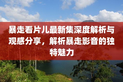 暴走看片儿最新集深度解析与观感分享，解析暴走影音的独特魅力