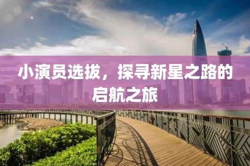 小演员选拔，探寻新星之路的启航之旅