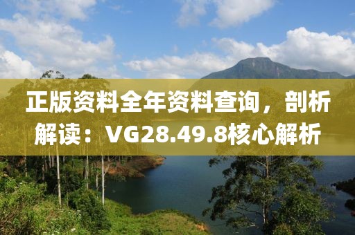 正版资料全年资料查询，剖析解读：VG28.49.8核心解析