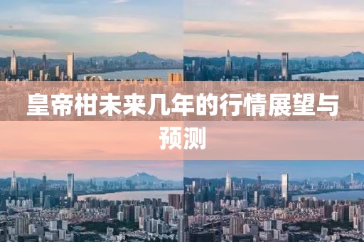 皇帝柑未来几年的行情展望与预测