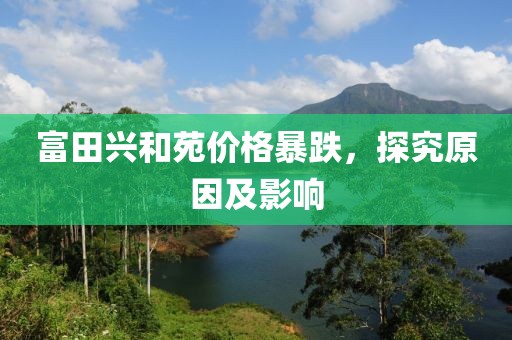 富田兴和苑价格暴跌，探究原因及影响