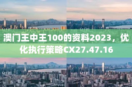 澳门王中王100的资料2023，优化执行策略CX27.47.16