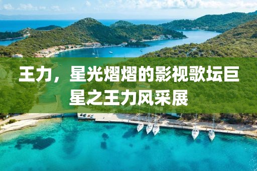 王力，星光熠熠的影视歌坛巨星之王力风采展
