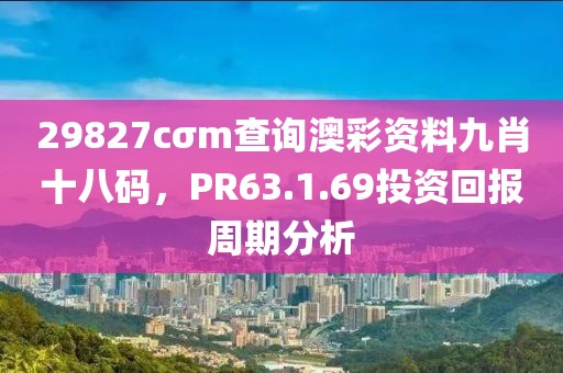 29827cσm查询澳彩资料九肖十八码，PR63.1.69投资回报周期分析