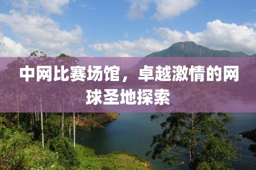 中网比赛场馆，卓越激情的网球圣地探索