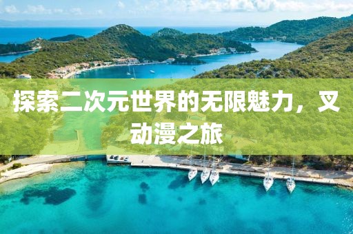 探索二次元世界的无限魅力，叉动漫之旅