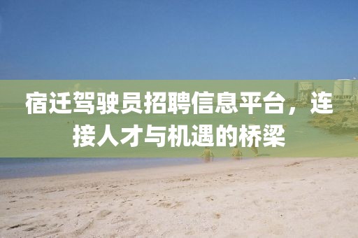 宿迁驾驶员招聘信息平台，连接人才与机遇的桥梁