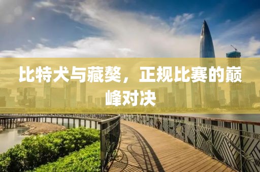 比特犬与藏獒，正规比赛的巅峰对决