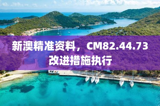新澳精准资料，CM82.44.73改进措施执行