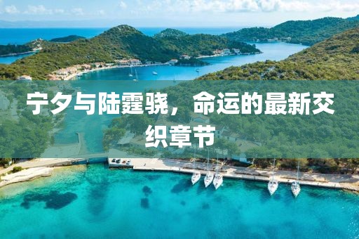 宁夕与陆霆骁，命运的最新交织章节
