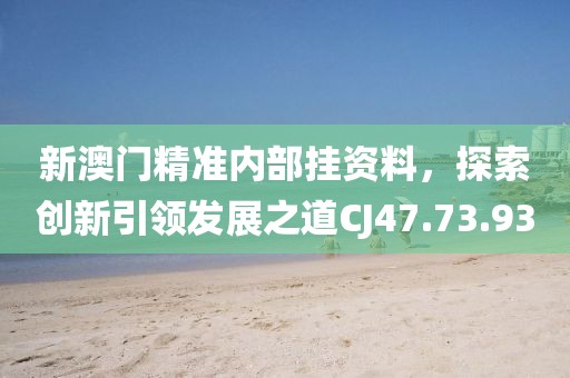 新澳门精准内部挂资料，探索创新引领发展之道CJ47.73.93