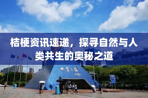 桔梗资讯速递，探寻自然与人类共生的奥秘之道