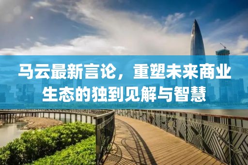马云最新言论，重塑未来商业生态的独到见解与智慧