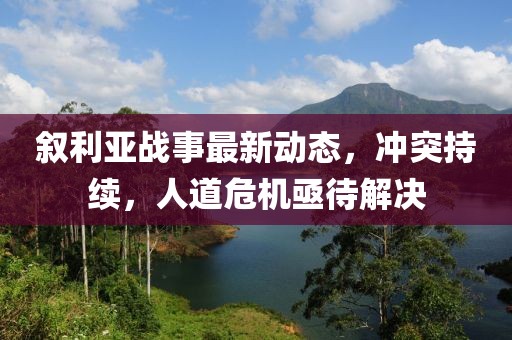 叙利亚战事最新动态，冲突持续，人道危机亟待解决