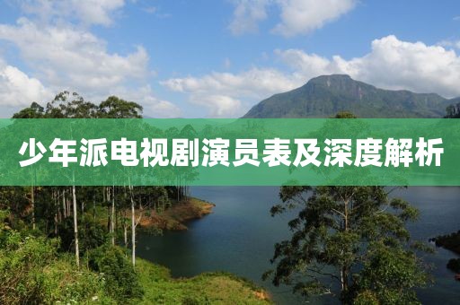 少年派电视剧演员表及深度解析