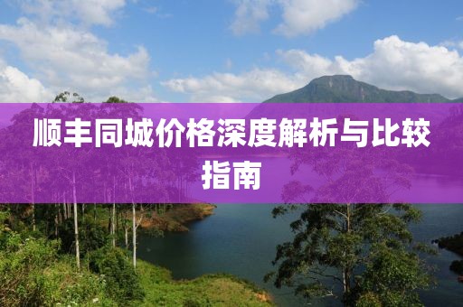 顺丰同城价格深度解析与比较指南