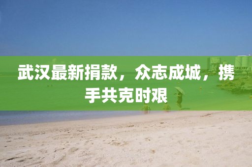 武汉最新捐款，众志成城，携手共克时艰