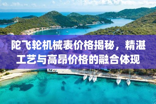 陀飞轮机械表价格揭秘，精湛工艺与高昂价格的融合体现