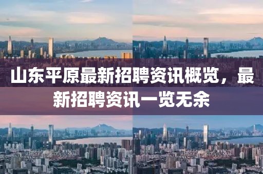 山东平原最新招聘资讯概览，最新招聘资讯一览无余