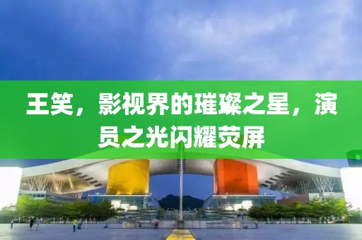 王笑，影视界的璀璨之星，演员之光闪耀荧屏